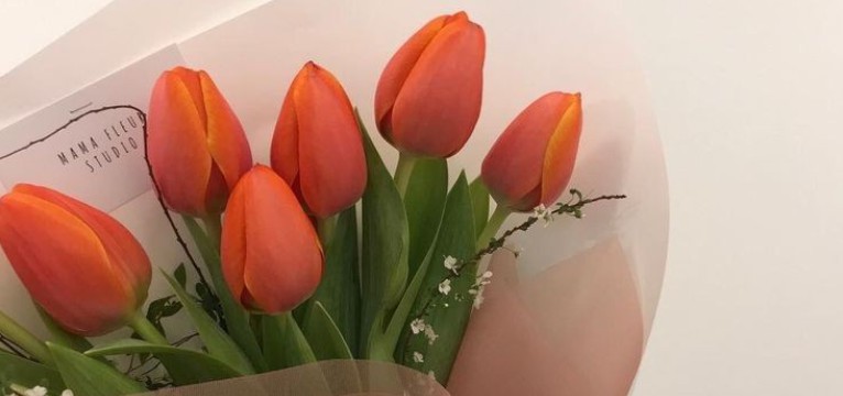 TULIPS