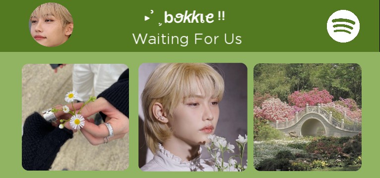 Spotify skz