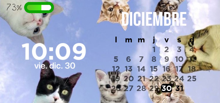 cats