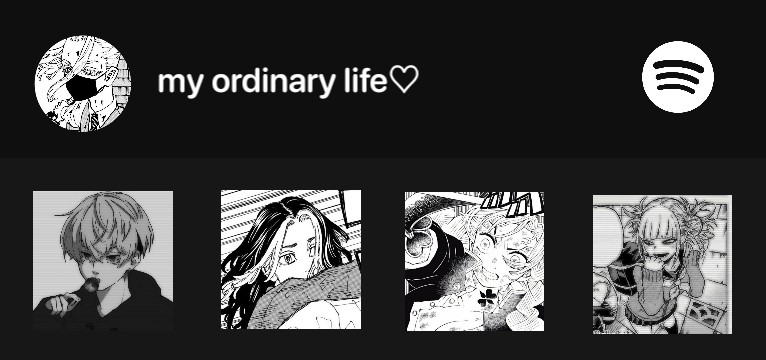 Widget Spotify Gris