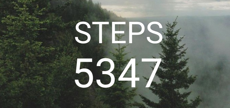 steps