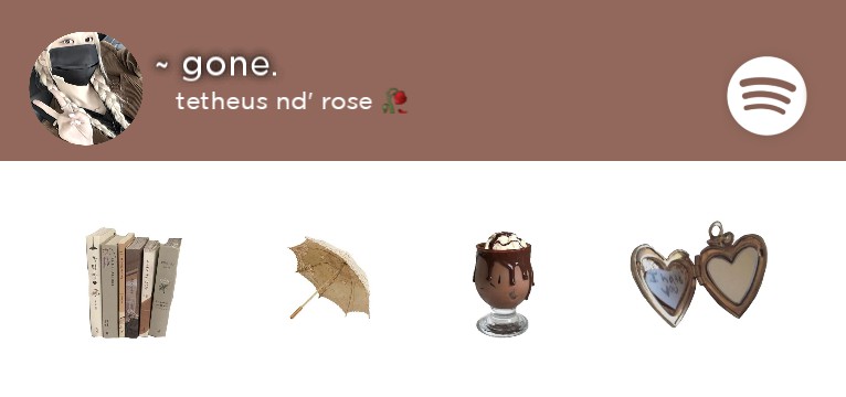Brown Spotify  Copy