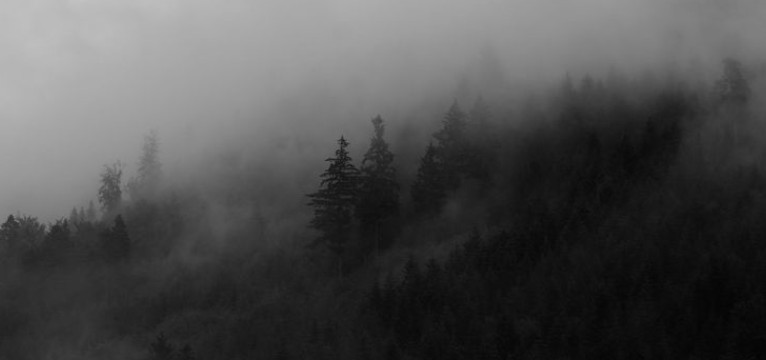 The dark forest