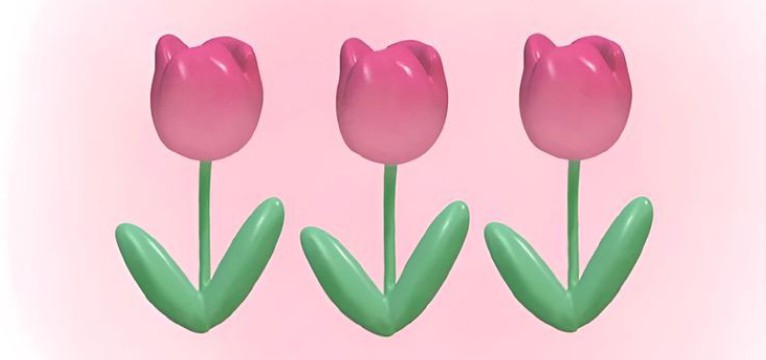 tulip