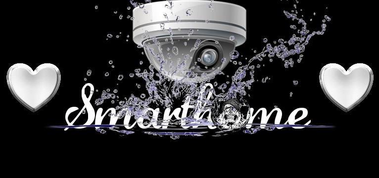 Smarthome Old Seaman Skull 