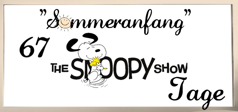  counter The Snoopy  