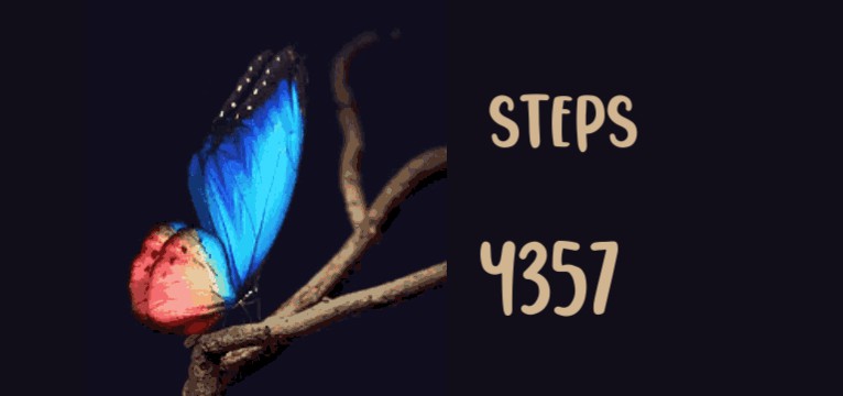 Steps Butterfly neo  Copy