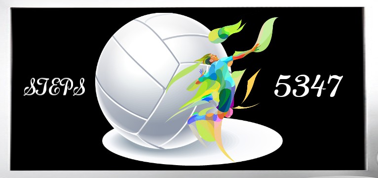 Step Volleyball 