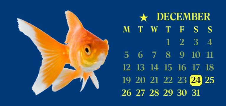 preppy fish