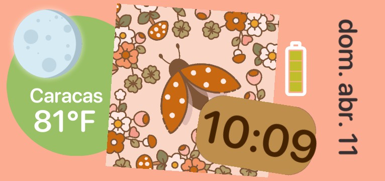 Aesthetic widget 