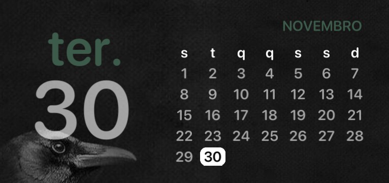 Date calendar Copy