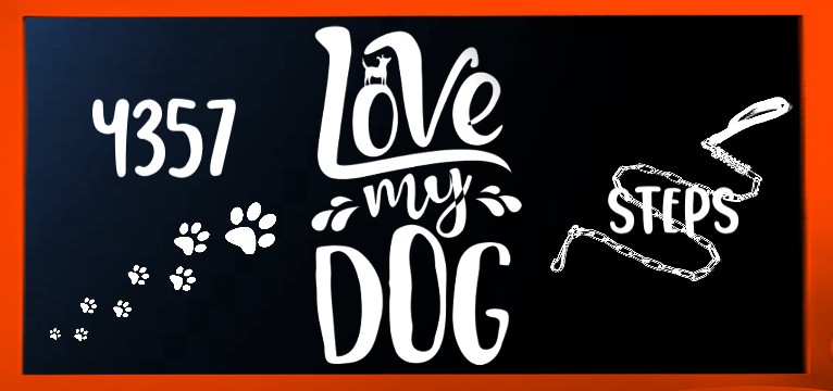 Step Dark blue Love DOG  orange 