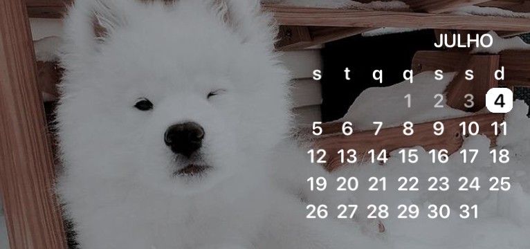 calendrio