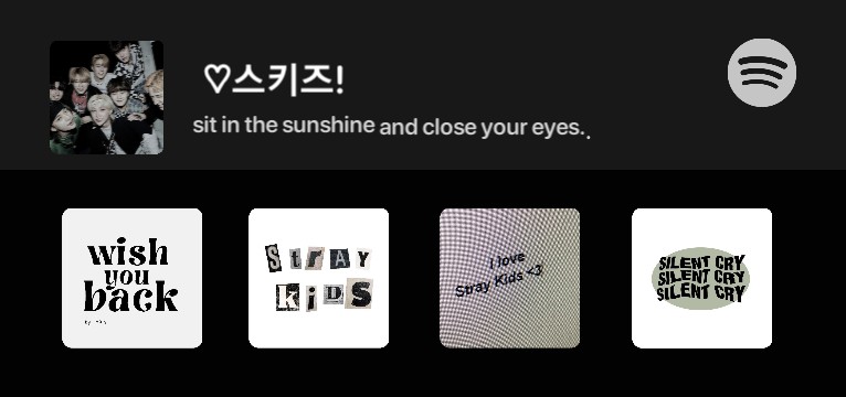 skz spotify black