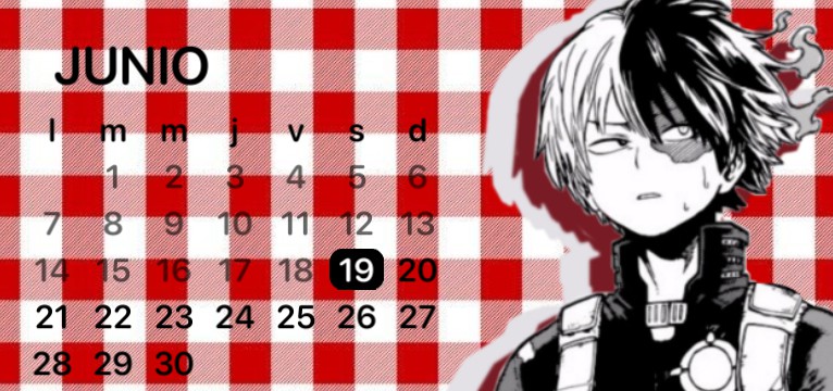 Shoto todoroki