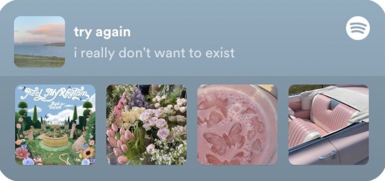 Pinterest spotify