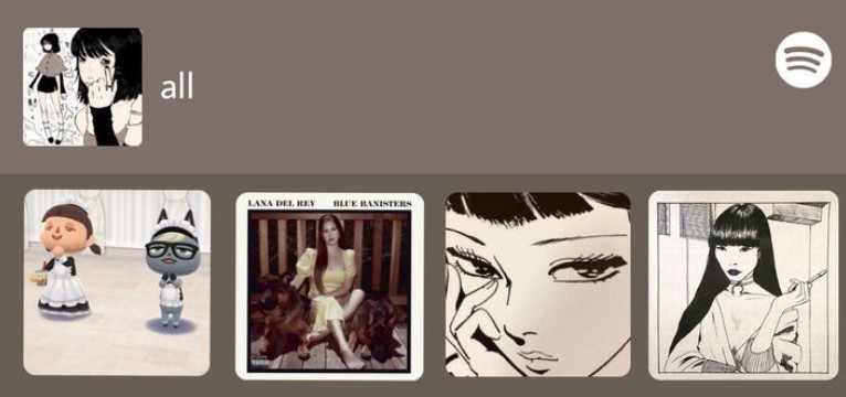 Spotify widget