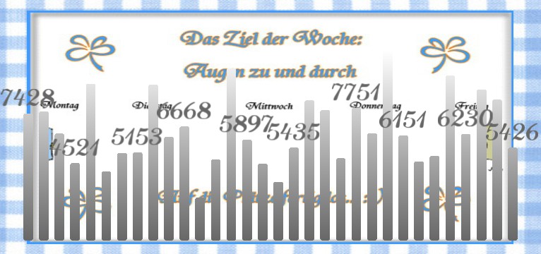 Schritte Woche 