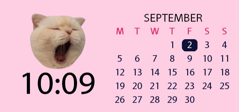 cat calendar