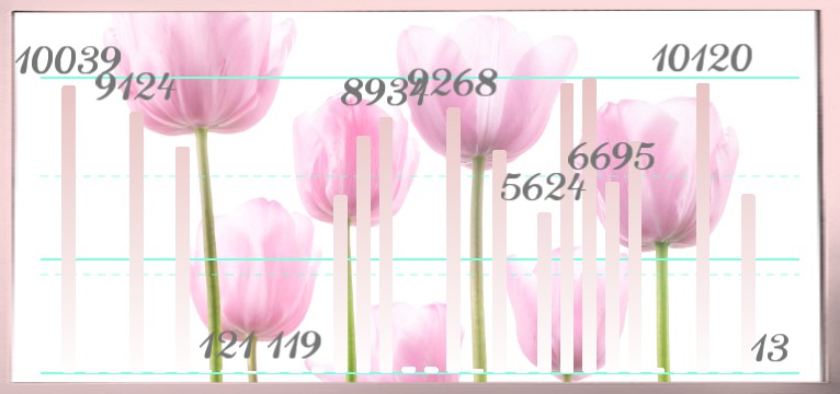Tulpen Fruehling Schritte
