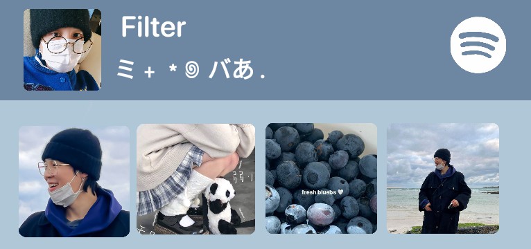Widget Spotify 