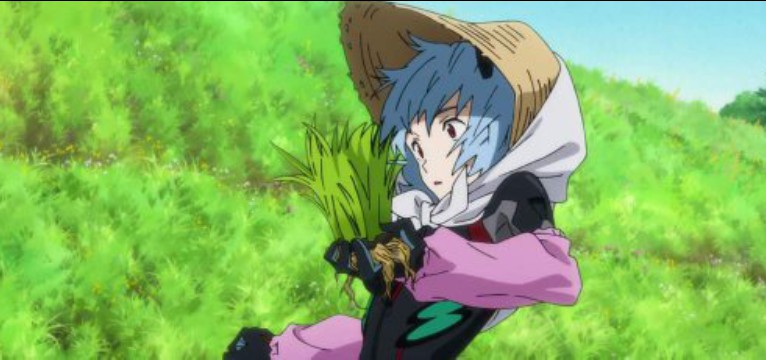 Rei