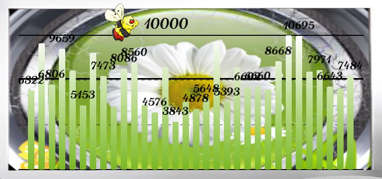Schritte Flower Time
