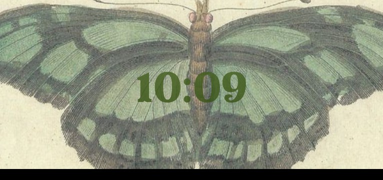 vintage butterfly timer