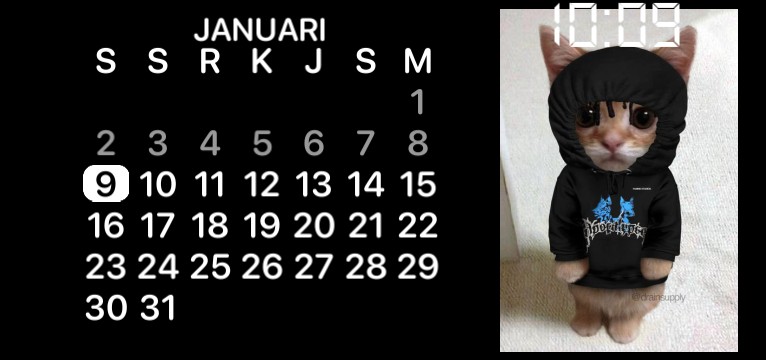 Kucing 