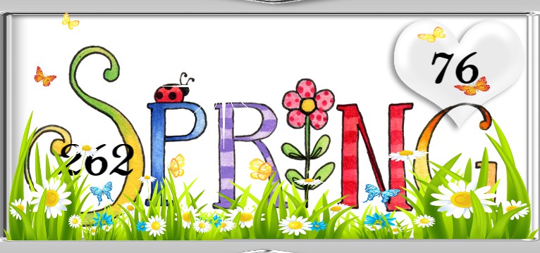 Herz Widget Spring 1
