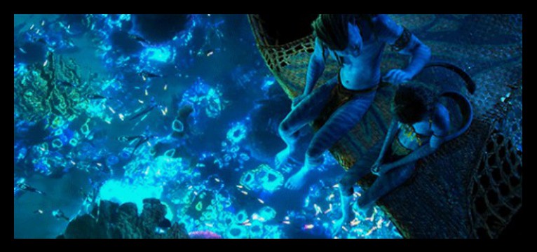 The way of water
