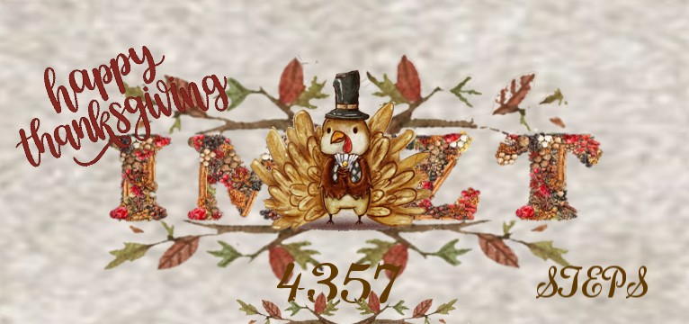 Step IMZT DIAMOND Thanksgiving 