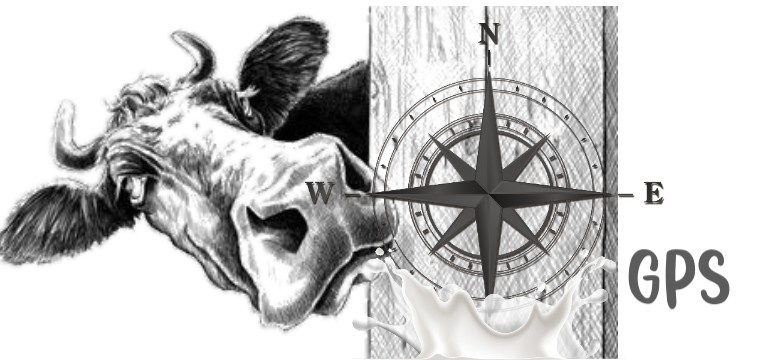 GPS Milk Cow 