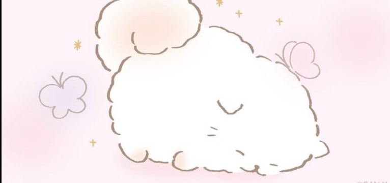 widget