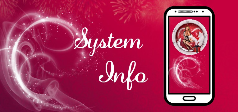 System Info Christmas Pin Up 