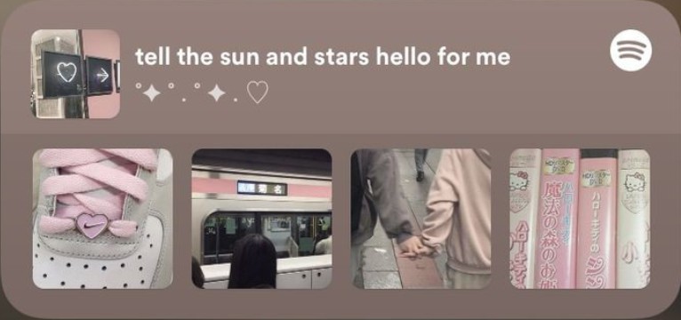 spotify aesthetic widget