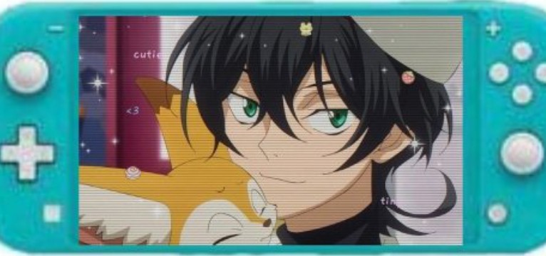 Nintendo switch miya