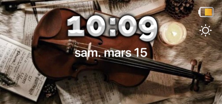 Violin