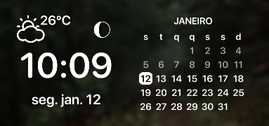 Blurry forest calendar widget