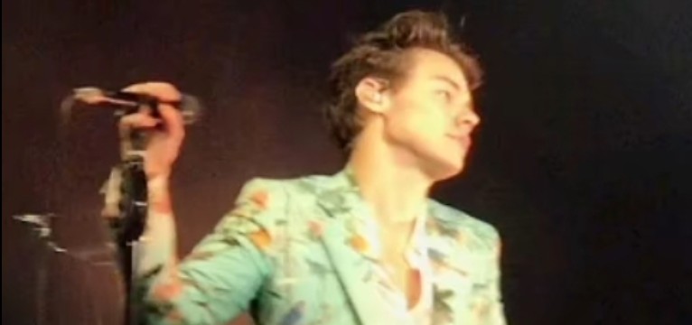 harry styles picture widget 