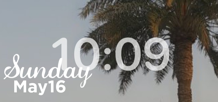 palm tree