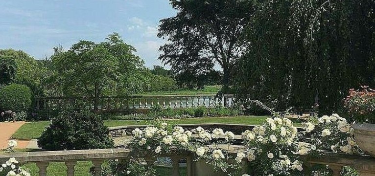 Cute Park
