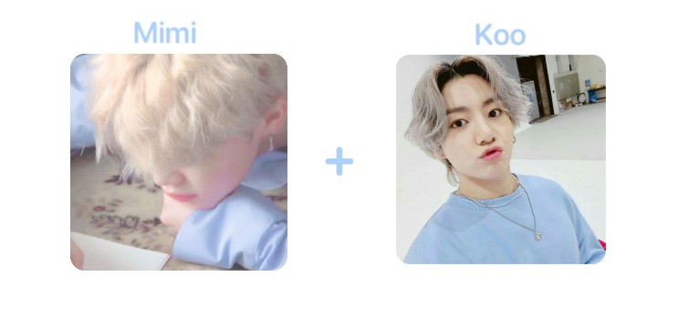 jikook widget