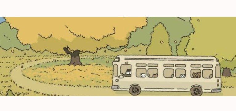 school bus