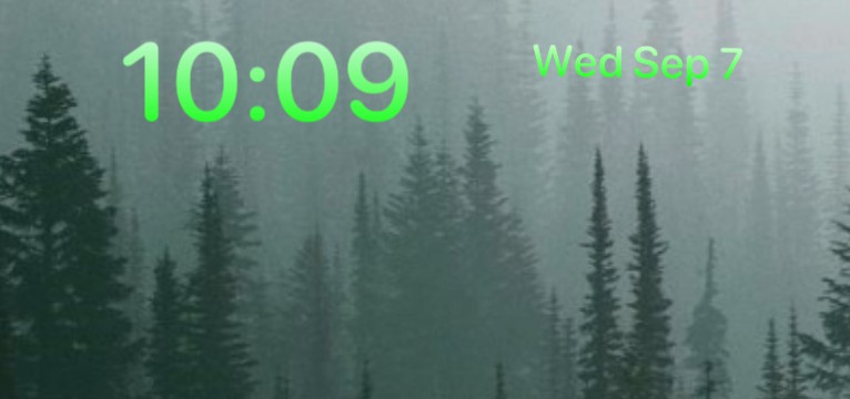misty woods