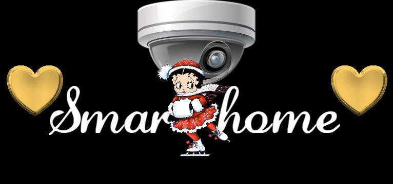 Smarthome Betty boop Winter 
