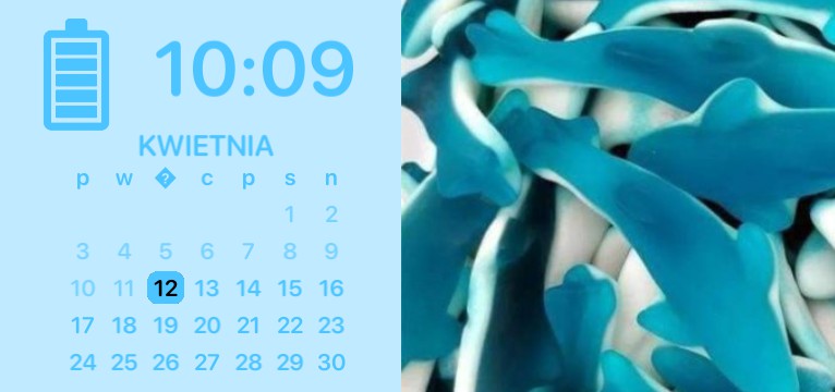 dolphins candy calendar