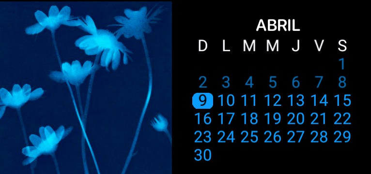 Flores