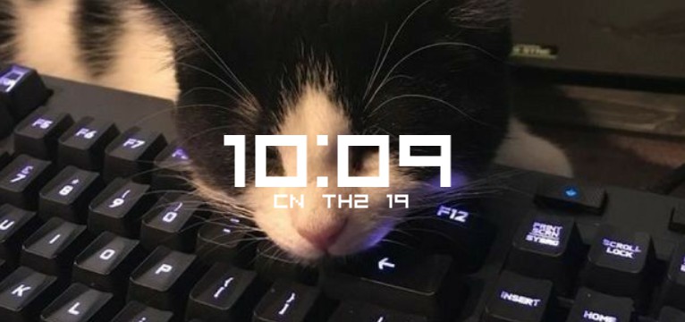 Cat widget Time