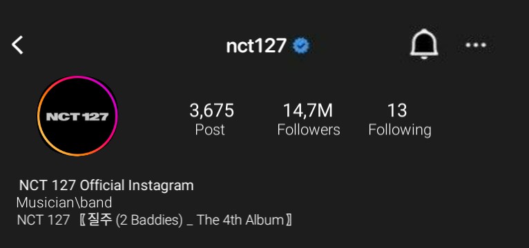 nct ig widget